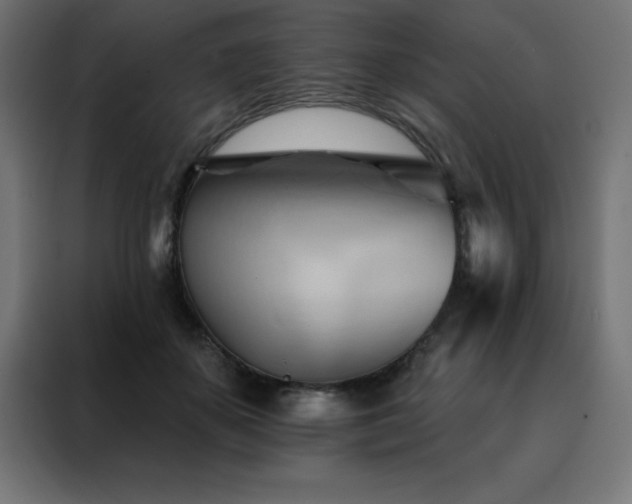 X0000088490507200705221430