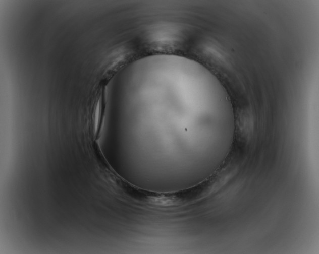 X0000088490511200705221430