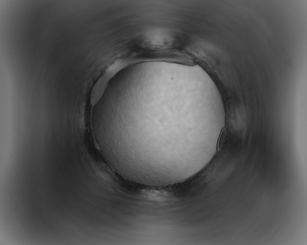 X0000088490512200705221430