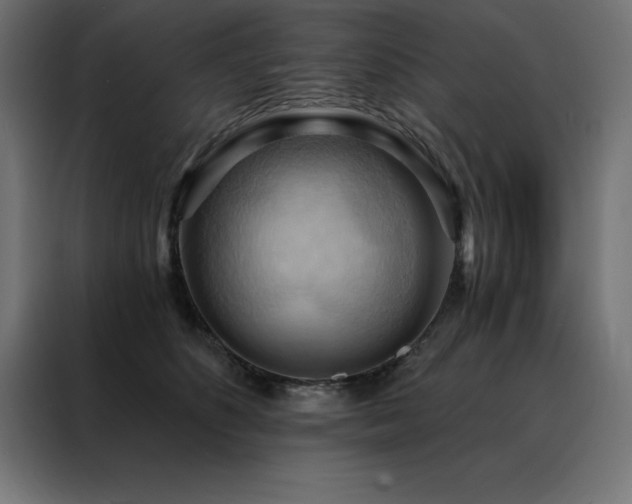 X0000088490516200705221430