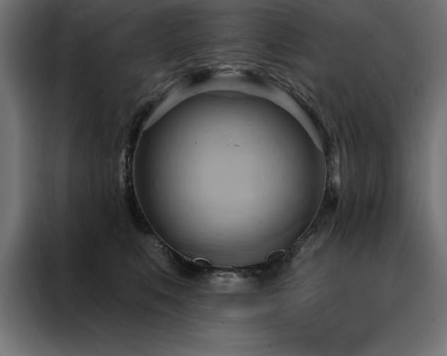 X0000088490519200705221430