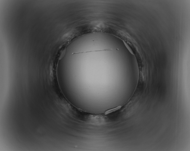 X0000088490520200705221429