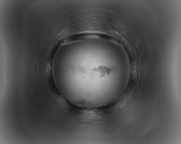 X0000088490523200705221429