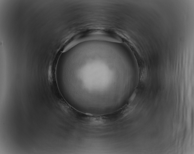 X0000088490524200705221429