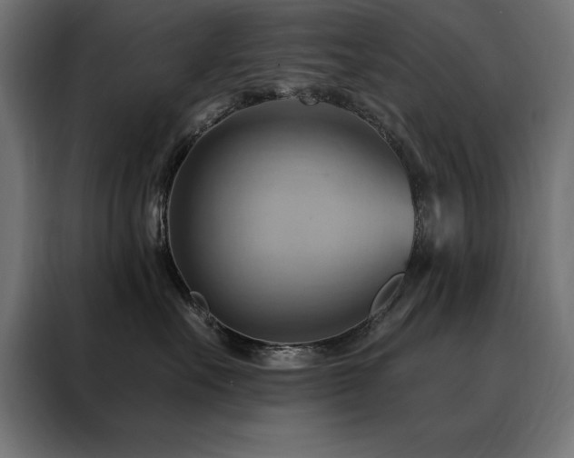 X0000088490527200705221429