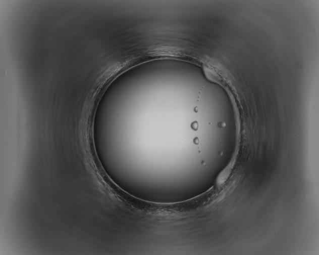 X0000088490529200705221429