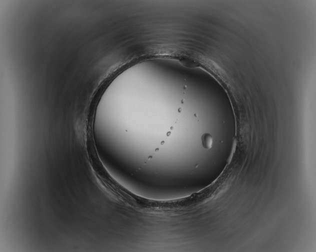 X0000088490530200705221429