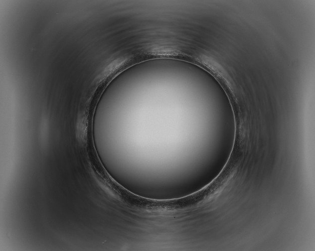 X0000088490533200705221429