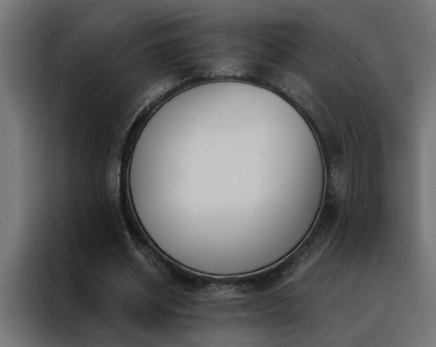 X0000088490534200705221429
