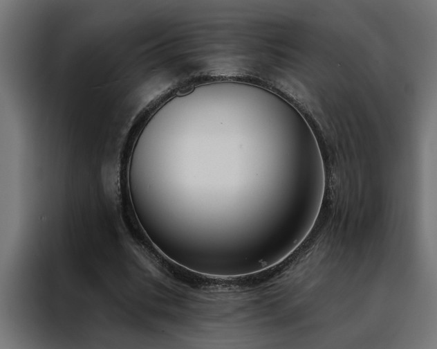 X0000088490535200705221429