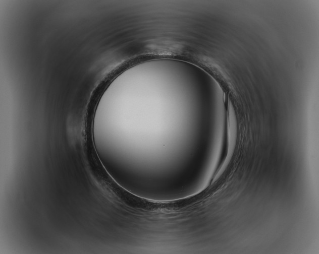X0000088490536200705221429