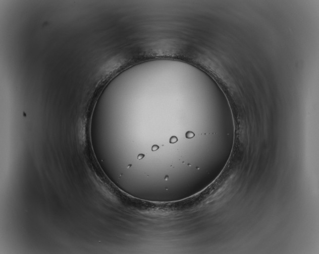 X0000088490537200705221429
