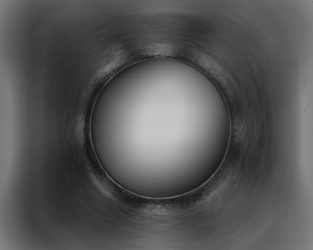 X0000088490538200705221429