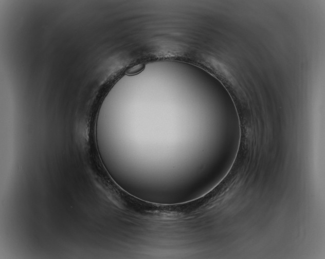 X0000088490539200705221429