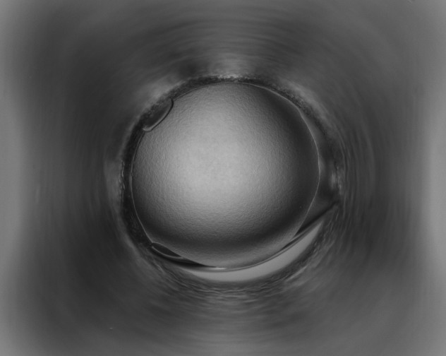 X0000088490540200705221429