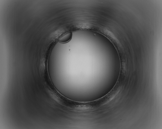 X0000088490541200705221429