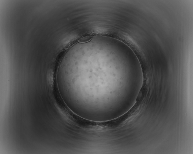 X0000088490542200705221429