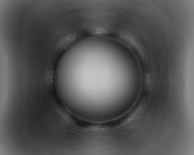 X0000088490545200705221429