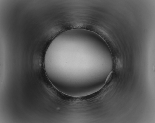 X0000088490546200705221429