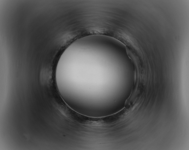 X0000088490548200705221429