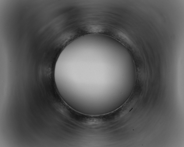 X0000088490549200705221429