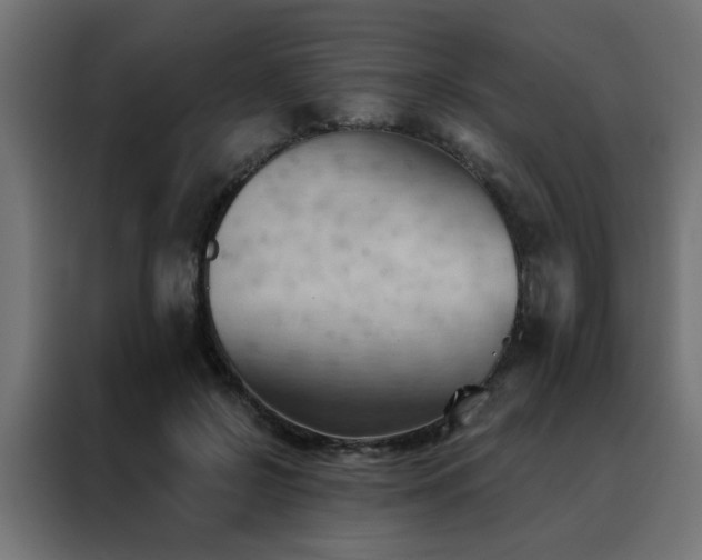 X0000088490550200705221429