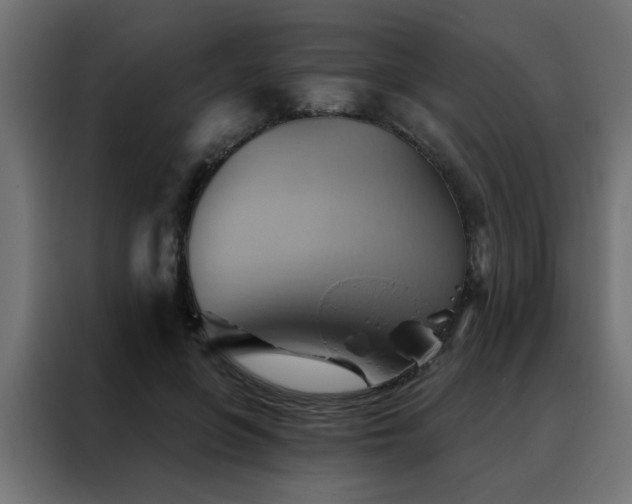 X0000088490551200705221429