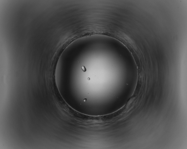 X0000088490552200705221429