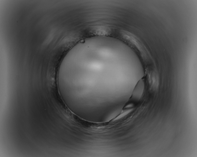 X0000088490553200705221429