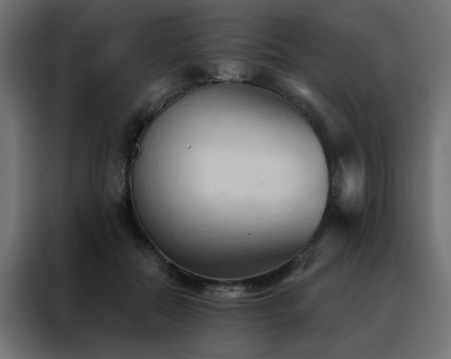 X0000088490554200705221429