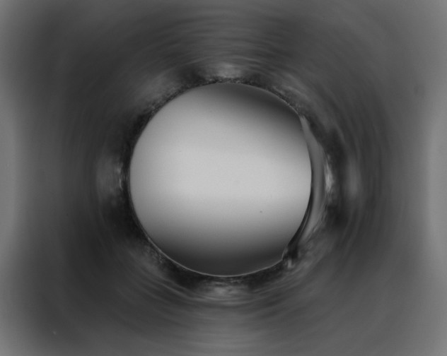 X0000088490555200705221429