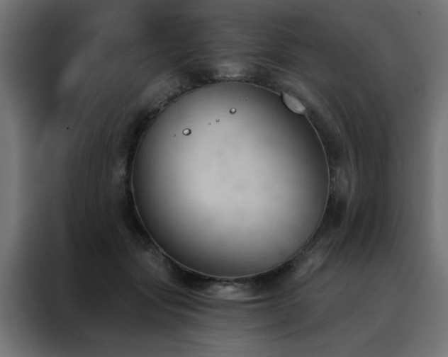 X0000088490557200705221429