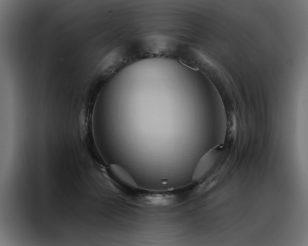 X0000088490558200705221429