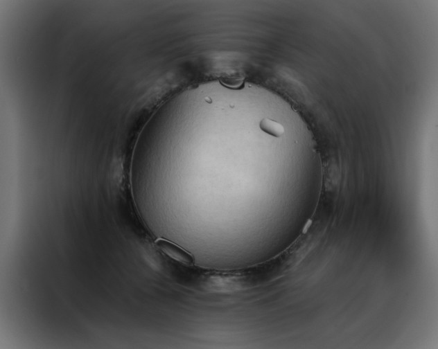 X0000088490560200705221429