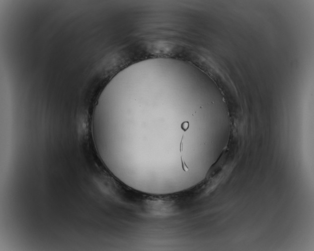 X0000088490561200705221429