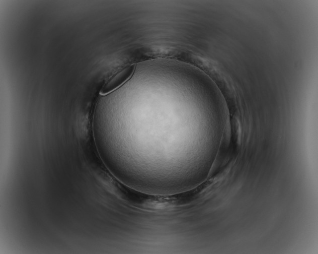 X0000088490563200705221429