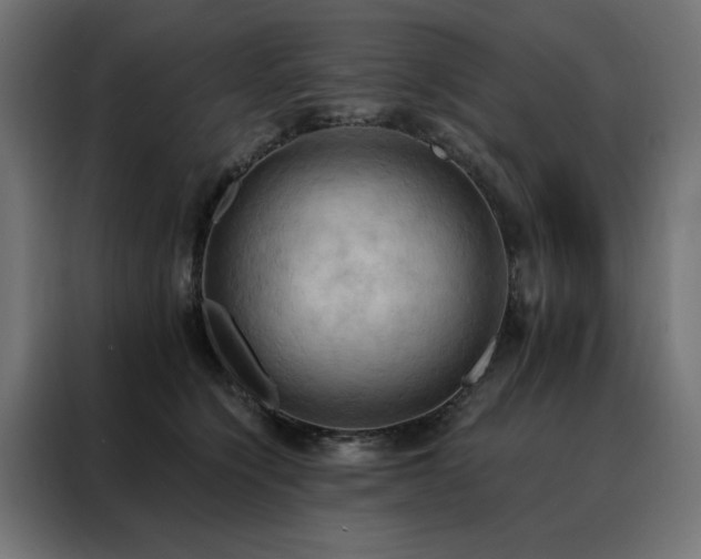 X0000088490564200705221429