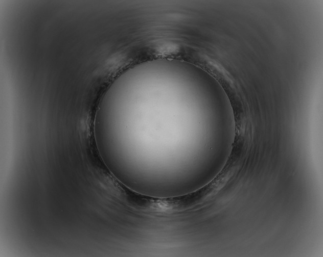 X0000088490565200705221429