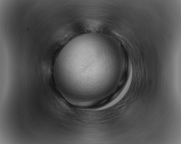 X0000088490566200705221429