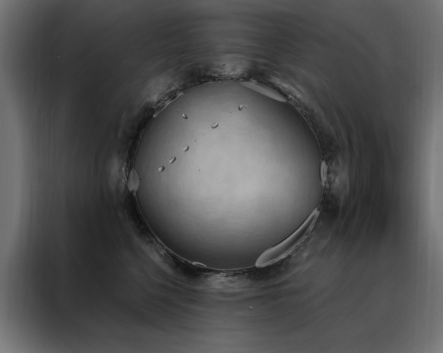 X0000088490568200705221429
