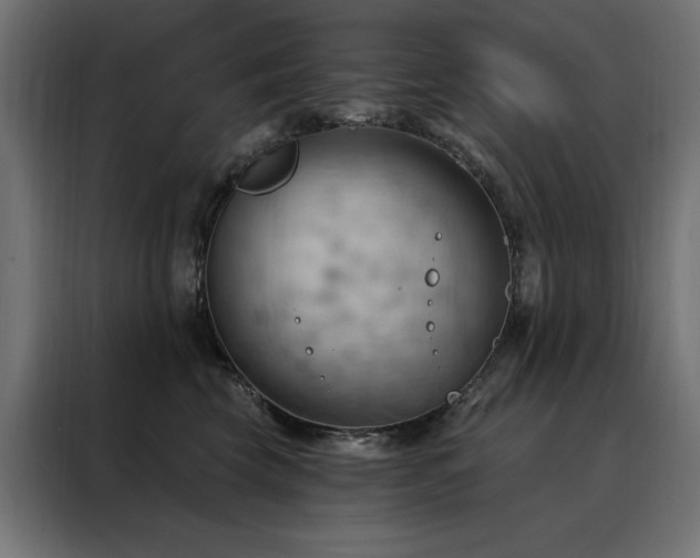 X0000088490569200705221429