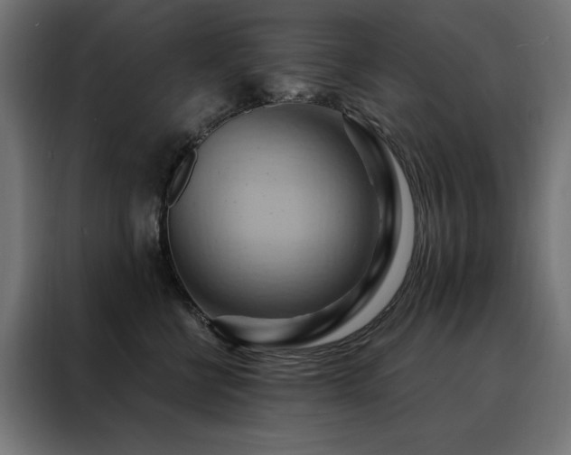 X0000088490570200705221429