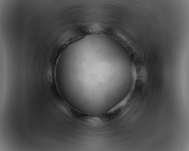 X0000088490572200705221429