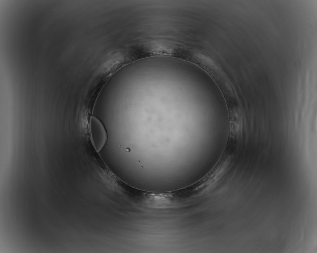 X0000088490573200705221429