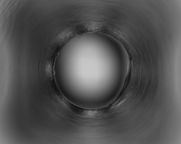 X0000088490575200705221429
