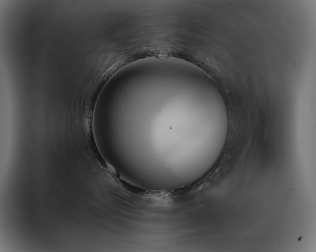 X0000088490576200705221429