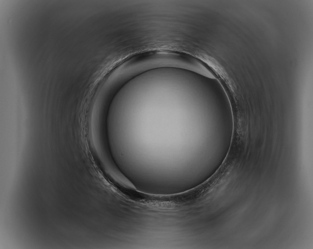 X0000088490577200705221429