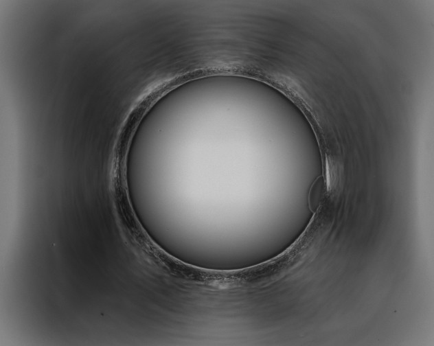 X0000088490579200705221429