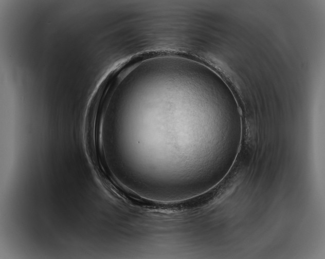 X0000088490580200705221429