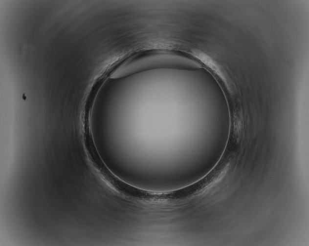 X0000088490581200705221429